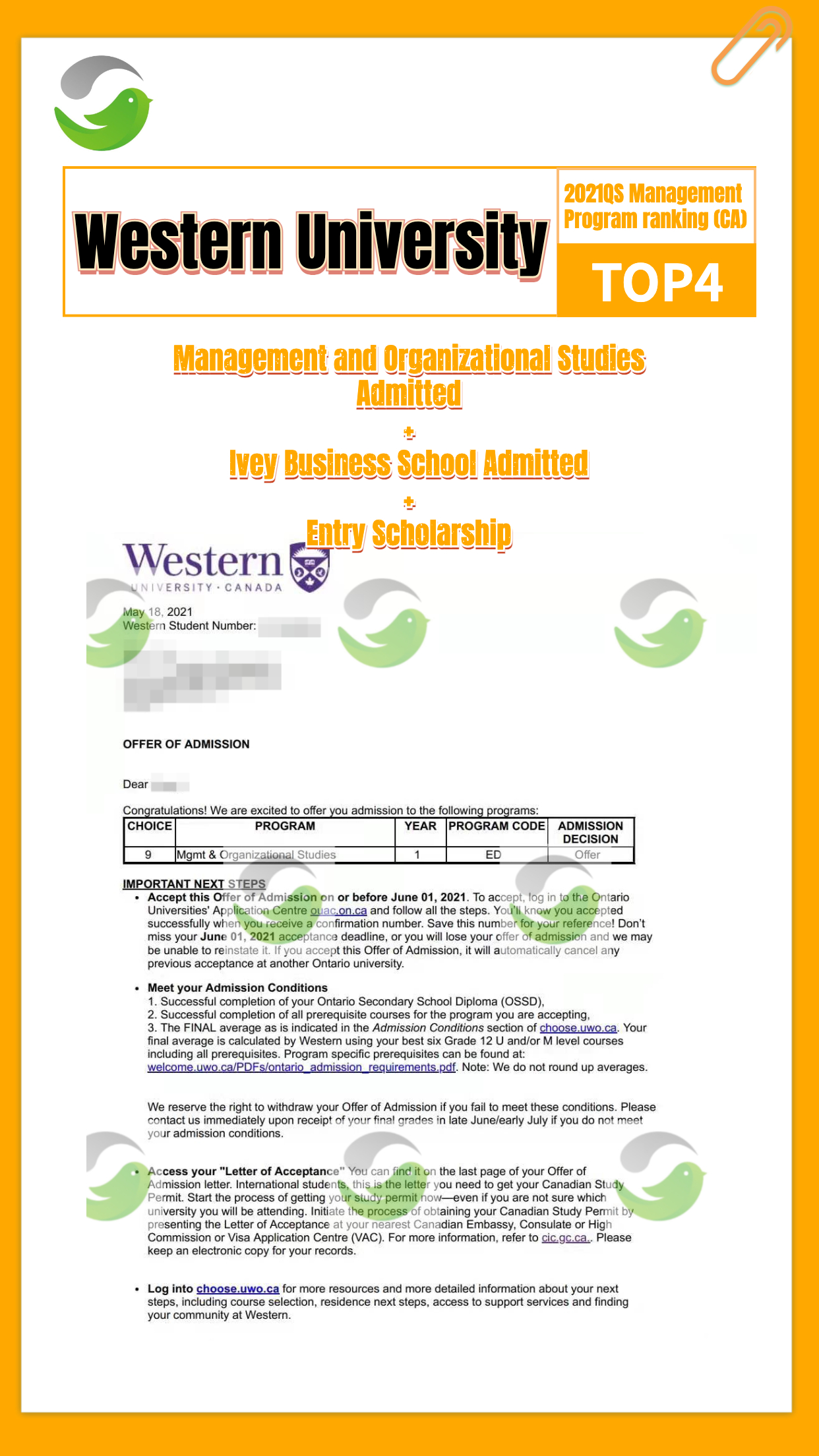 5-英文_western management_offer海报